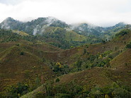 21 Deforestation in Laos