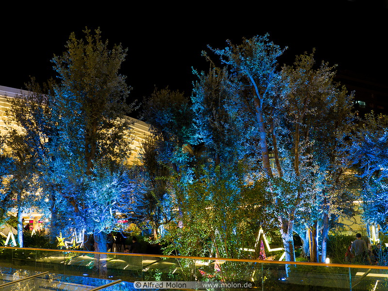 16 Illuminated trees in ABC mall