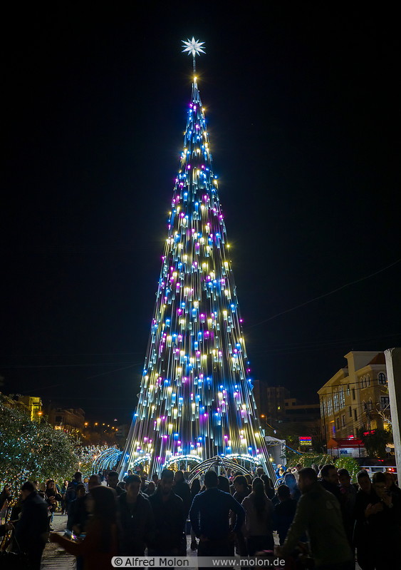 40 Christmas tree