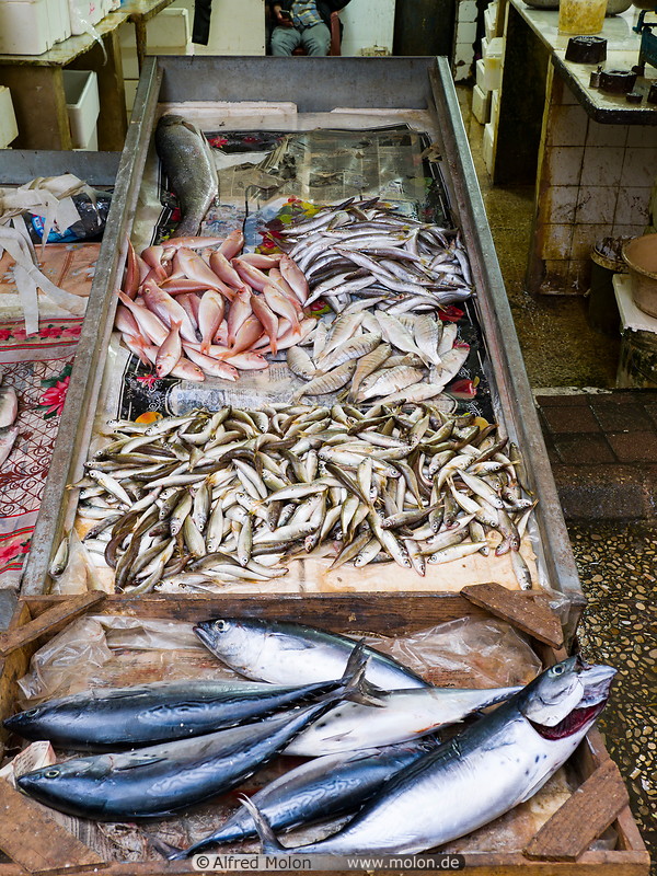 49 Fish shop
