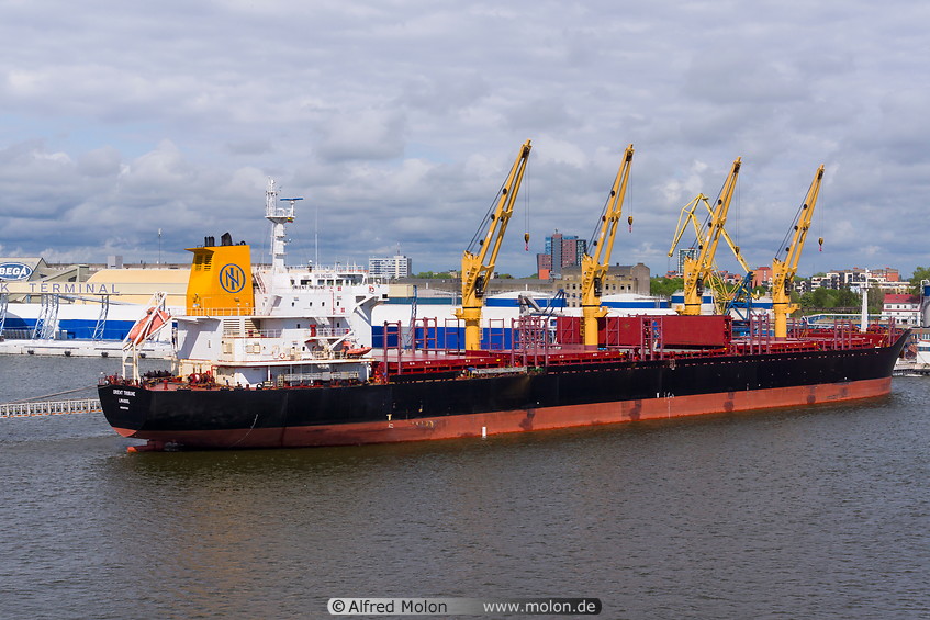 10 Orient Tribune bulk carrier ship