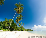 06 Beach with coconut palms