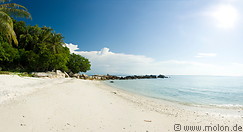 08 White coral sand beach with coconut palms