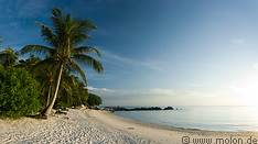 14 Beach with coconut palms