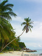 03 Palm fringed beach