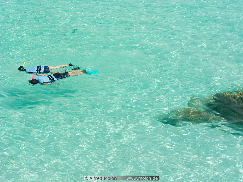 20 Tourists snorkelling