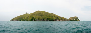 21 Harimau island
