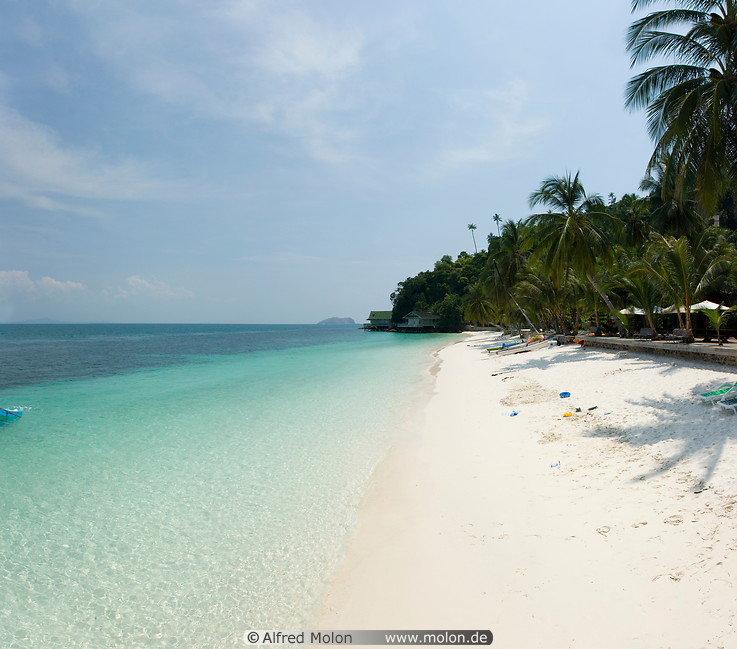 11 White coral sand beach with coconut trees