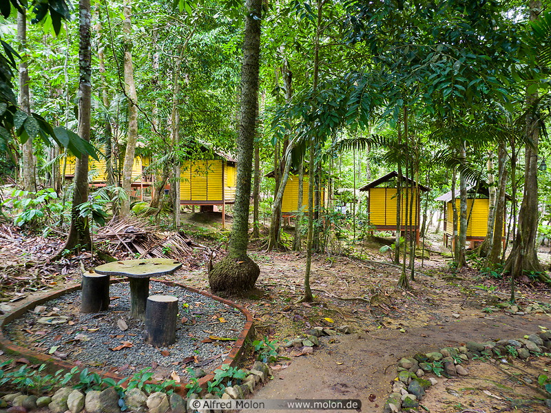 12 Huts in Lubuk Tapah base camp