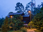15 Selai forest camp