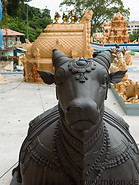 14 Black cow statue