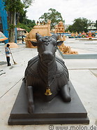 15 Black cow statue