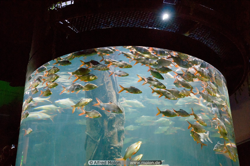 07 KL aquarium