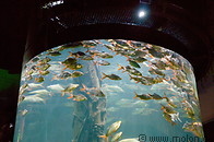 07 KL aquarium