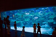 09 KL aquarium