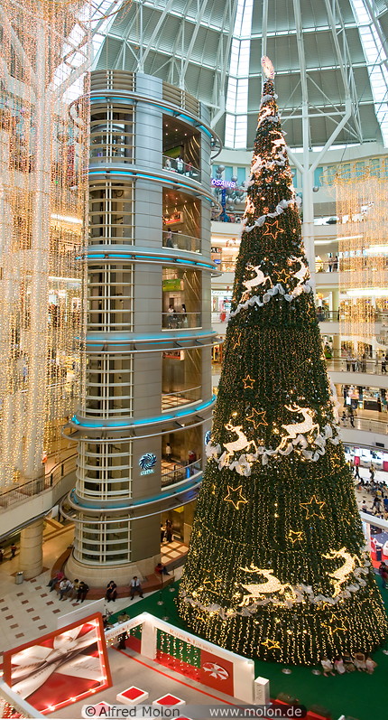 11 Lift and Christmas tree