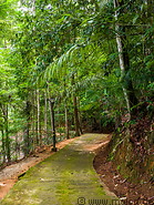 28 Path in botanical garden