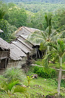 08 Rungus longhouse and coconut trees