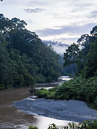 13 Segama river and rainforest
