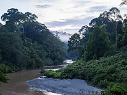 14 Segama river and rainforest