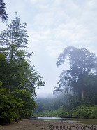 33 Segama river and rainforest
