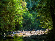 53 Segama river and rainforest