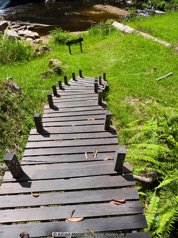 13 Wooden staircase to Imbak falls