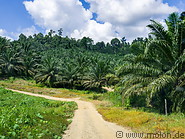 16 Road to Kampung Imbak