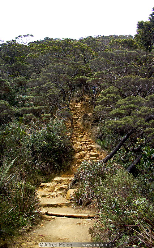 13 Summit trail