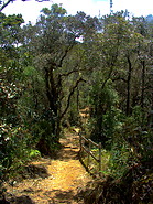 08 Summit trail