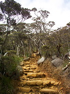 15 Summit trail