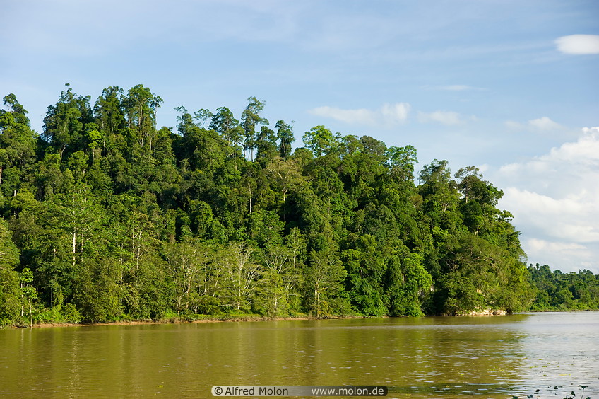 14 Riverbank with dense jungle