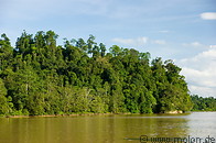 14 Riverbank with dense jungle