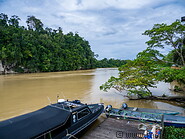 01 Kinabatangan river