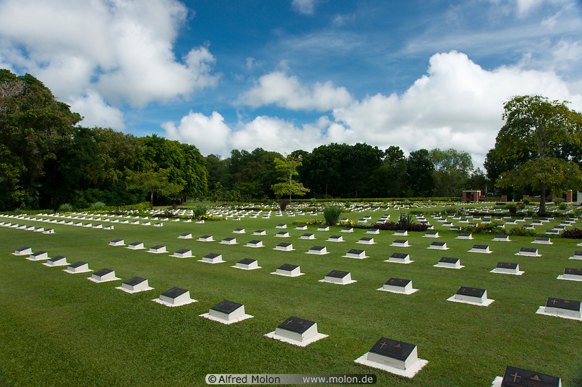 08 Rows of graves