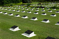 14 Rows of graves
