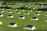 16 Rows of graves