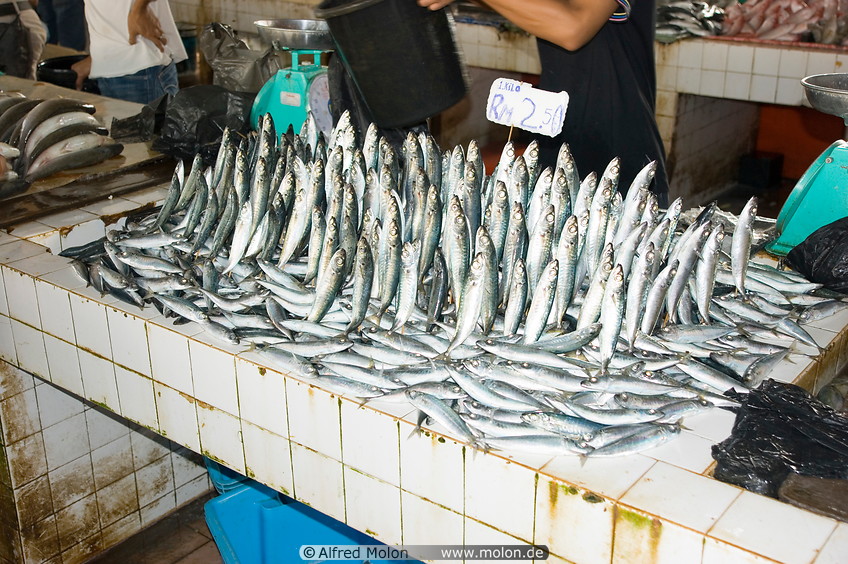 11 Fresh fish for sale in fish market