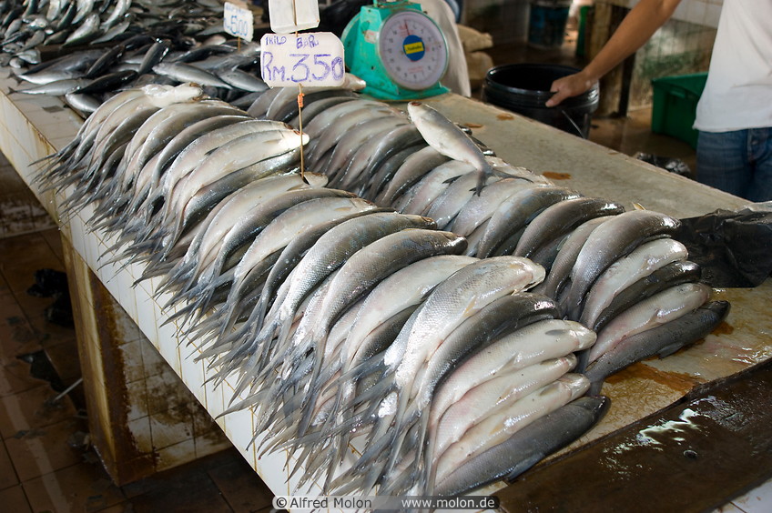 12 Fresh fish for sale in fish market