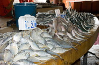 10 Fresh fish for sale in fish market
