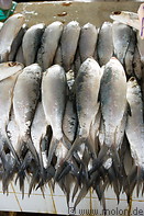 13 Fresh fish for sale in fish market