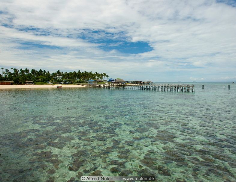 20 Shallow seawater along northeast coast with corals