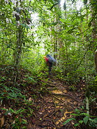 08 Trail to Ginseng camp