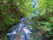 21 Forest stream