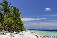 08 Beach with coconut trees