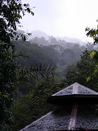 03 View of the rainforest at sunset