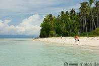 04 Beach and coconut trees