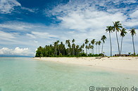 05 Beach and coconut trees
