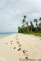 26 Beach and coconut trees