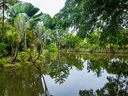 01 Sepilok jungle resort pond